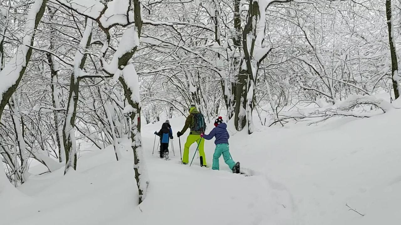 Gran Paradiso Alpette Esterno foto