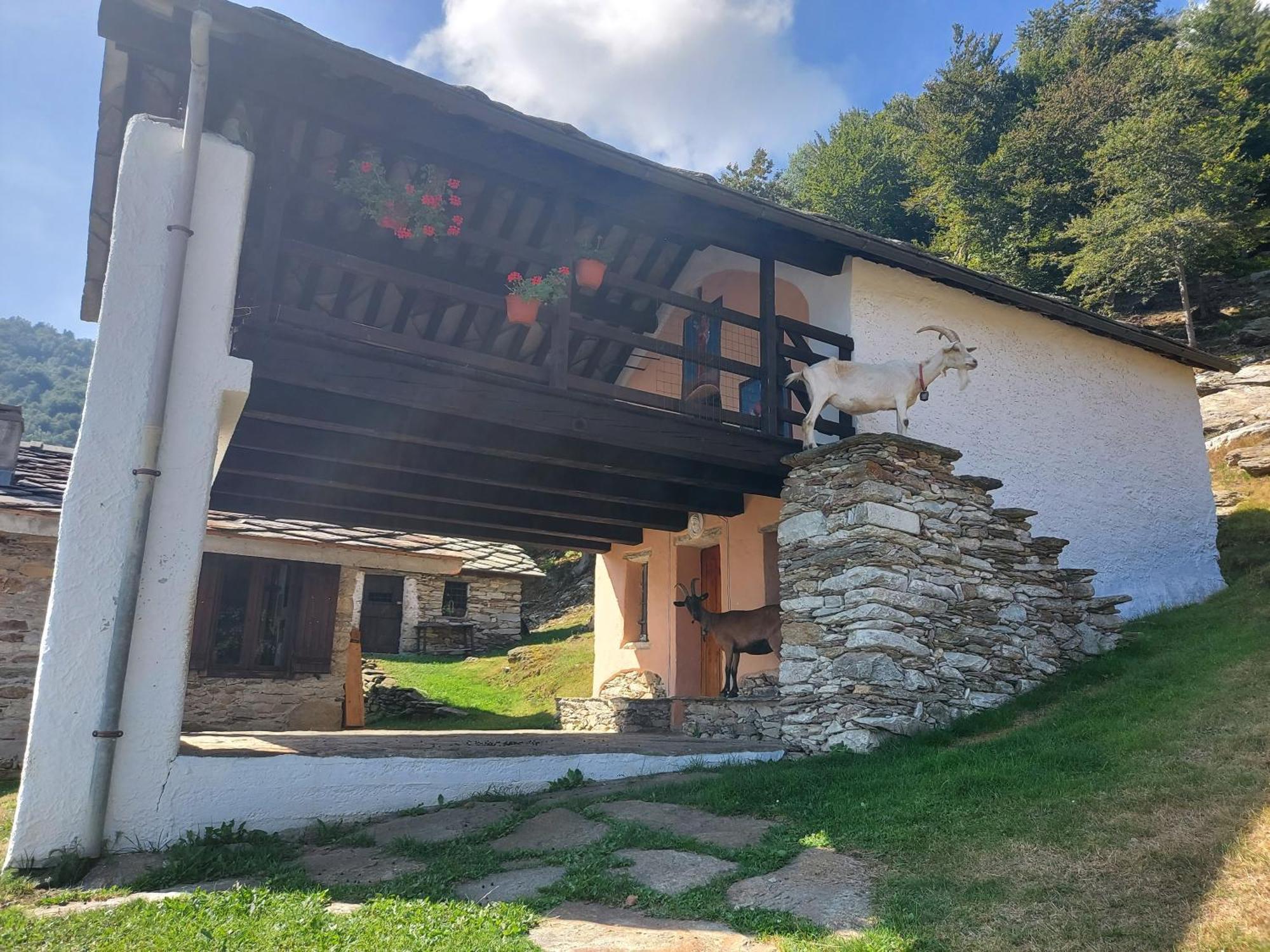 Gran Paradiso Alpette Esterno foto